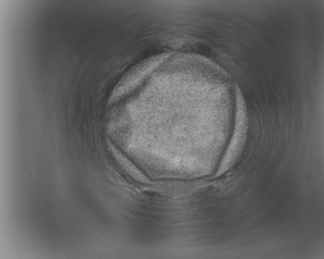 X0000067461105200604281821