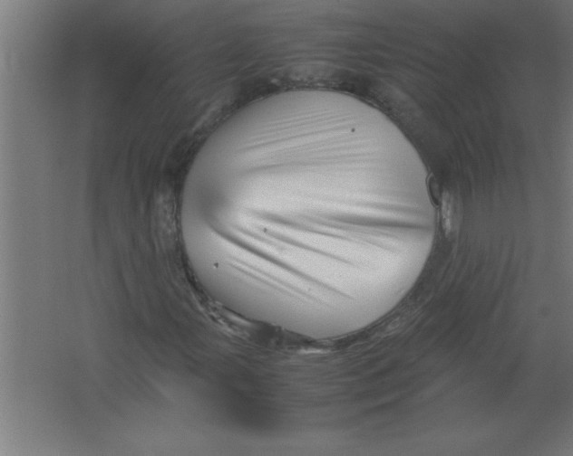 X0000067461107200604281821