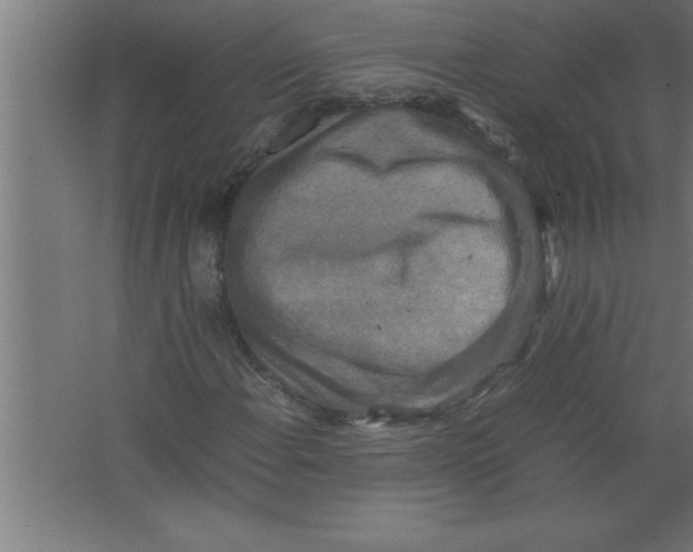 X0000067461108200604281821