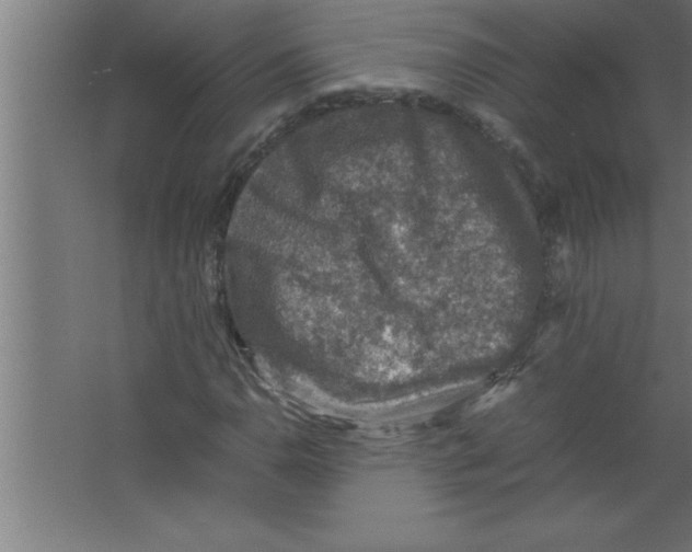 X0000067461110200604281821