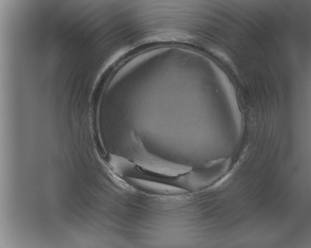 X0000067461114200604281821