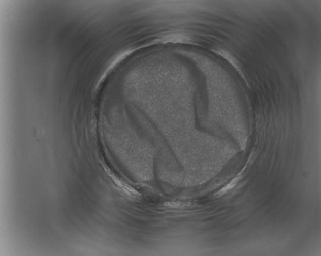 X0000067461115200604281821