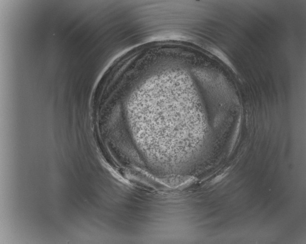 X0000067461116200604281821