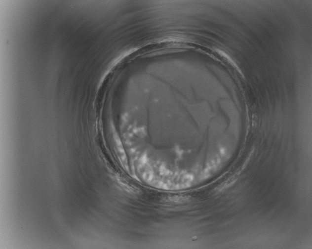 X0000067461117200604281821