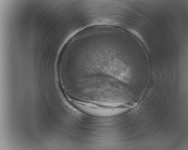 X0000067461120200604281821