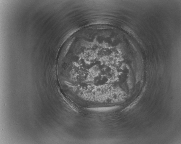 X0000067461121200604281821