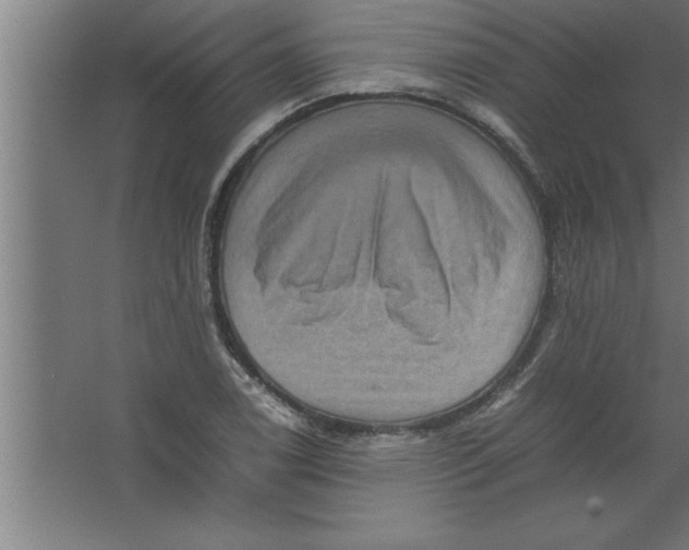 X0000067461122200604281821