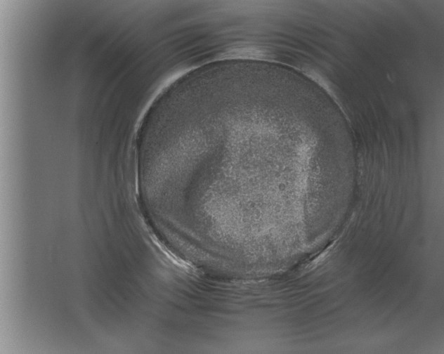 X0000067461123200604281821