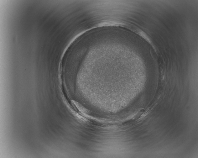 X0000067461124200604281821