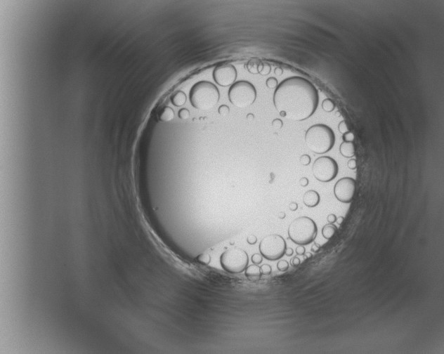 X0000067461126200604281821