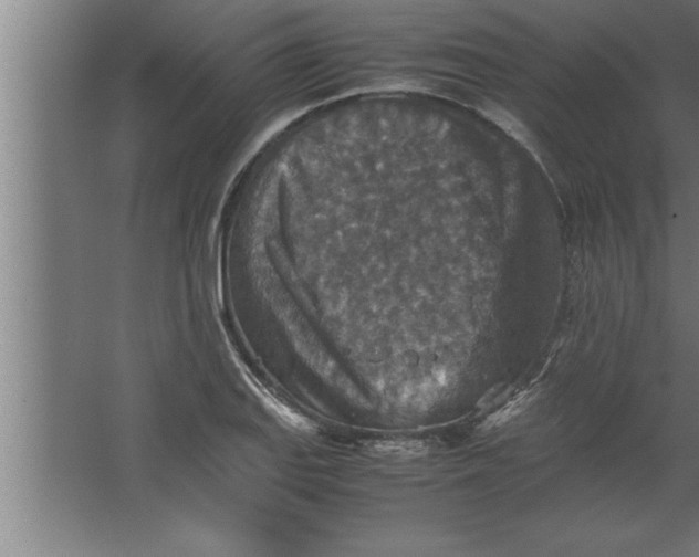 X0000067461127200604281821