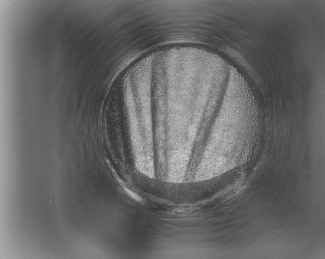 X0000067461129200604281821