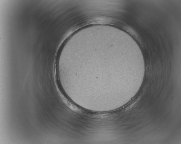 X0000067461130200604281821