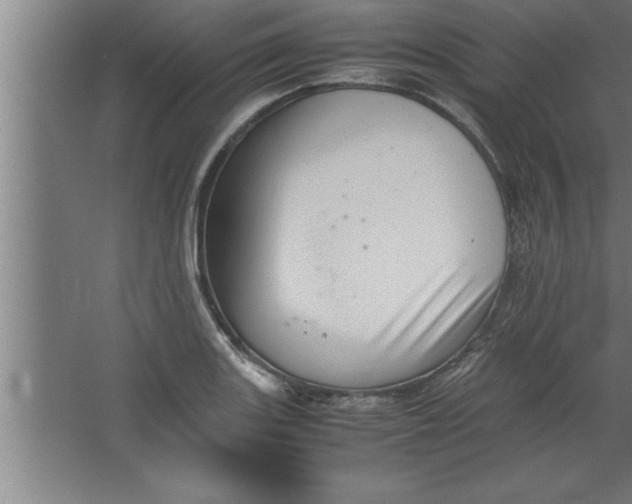 X0000067461131200604281821