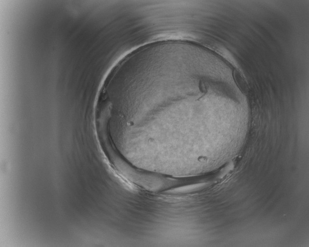 X0000067461132200604281821