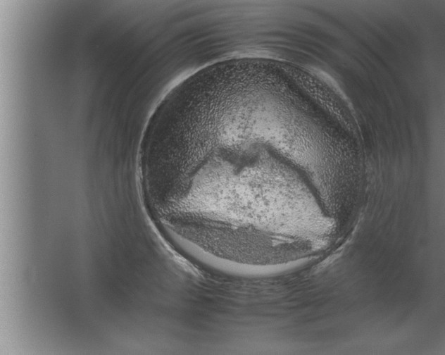 X0000067461133200604281821