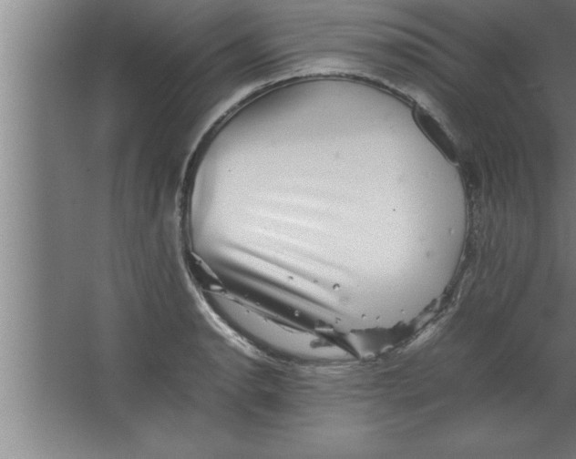 X0000067461134200604281821