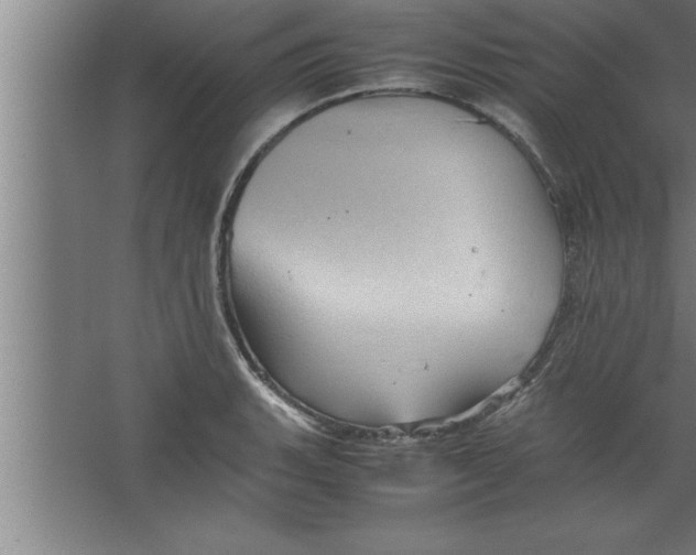 X0000067461135200604281821