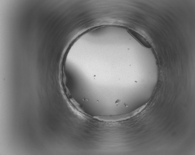 X0000067461136200604281821