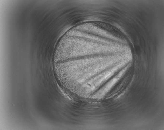 X0000067461137200604281821