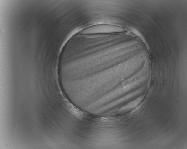 X0000067461138200604281821