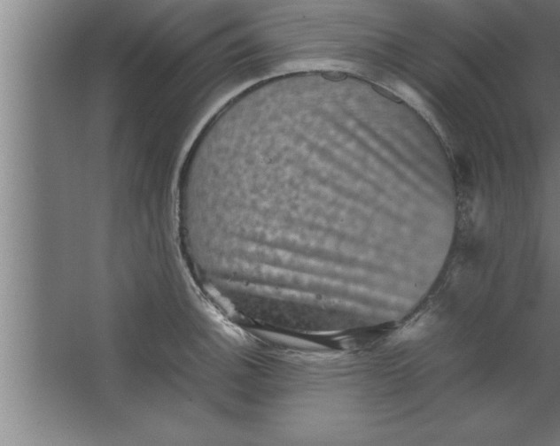 X0000067461140200604281821