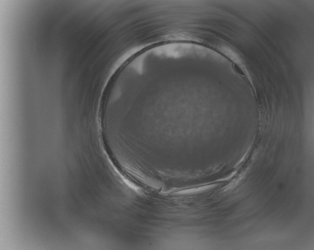 X0000067461141200604281821