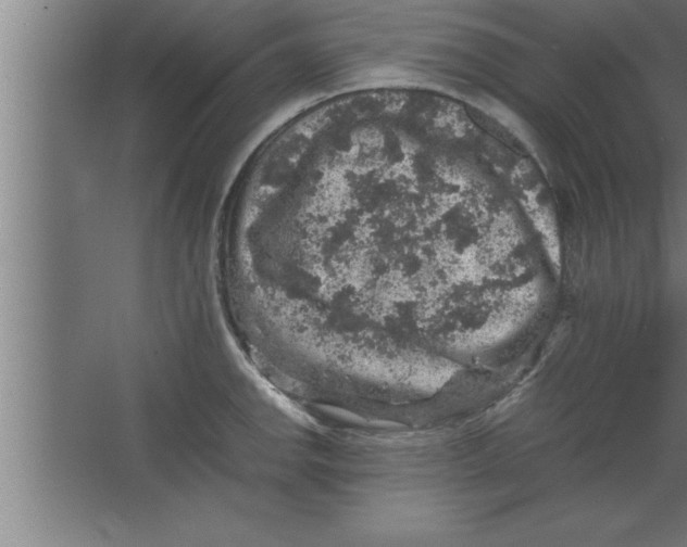 X0000067461142200604281821