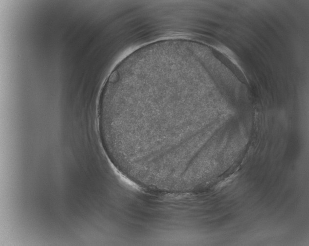 X0000067461143200604281821