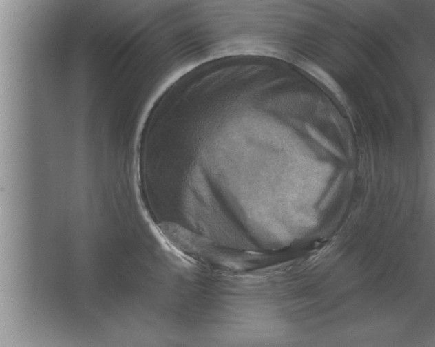 X0000067461144200604281821