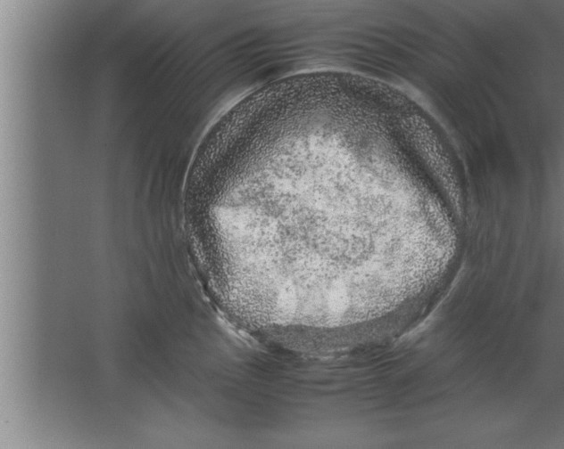 X0000067461145200604281821