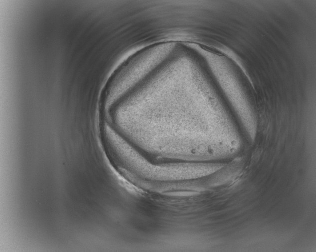 X0000067461147200604281821