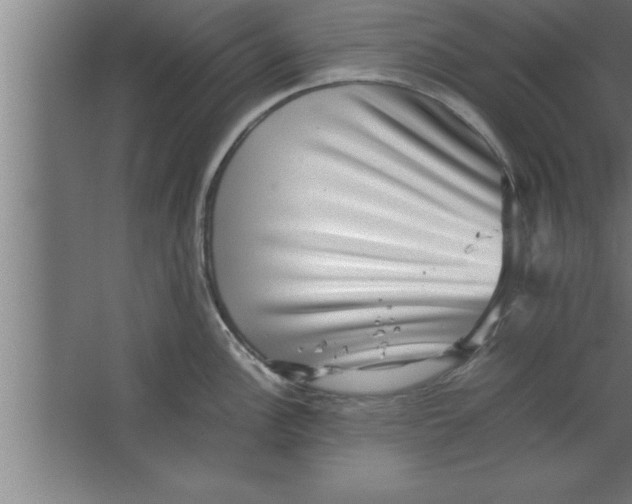 X0000067461148200604281821