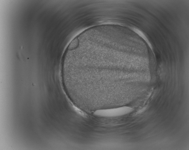 X0000067461149200604281821