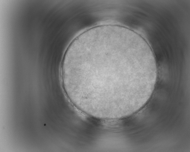 X0000067461150200604281821