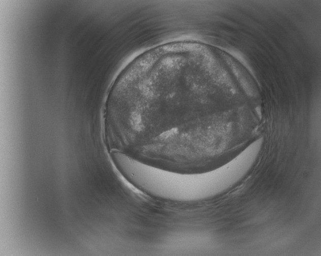 X0000067461151200604281821