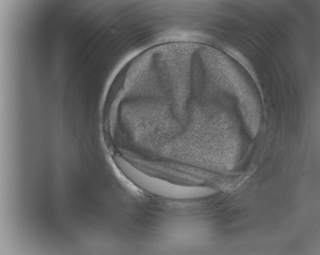 X0000067461152200604281821