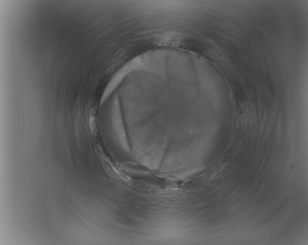 X0000067461154200604281821