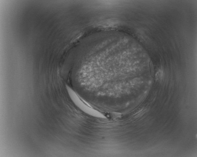 X0000067461156200604281821