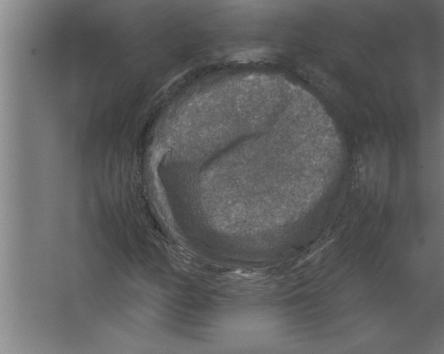 X0000067461158200604281821