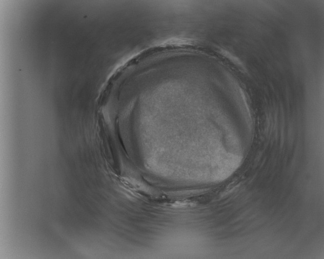 X0000067461160200604281820