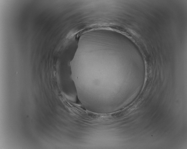 X0000067461161200604281820