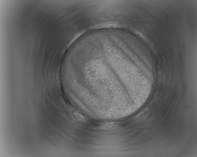 X0000067461162200604281820