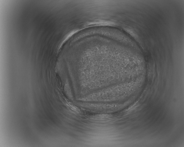 X0000067461163200604281820