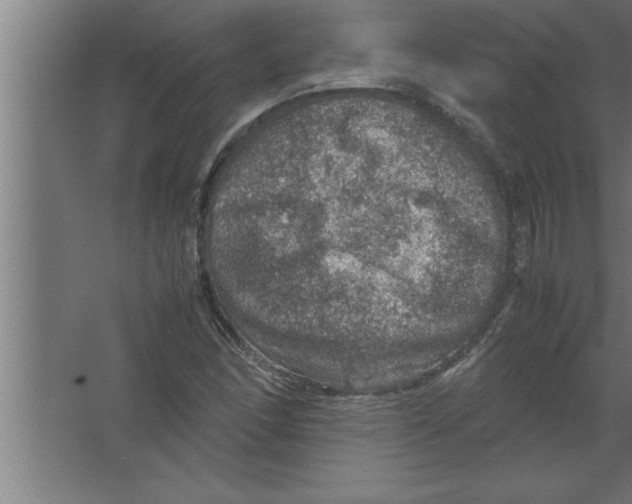 X0000067461166200604281820