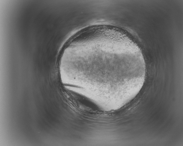 X0000067461167200604281820