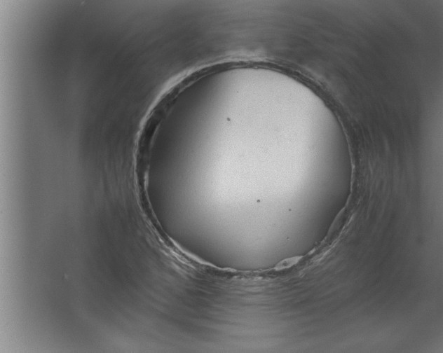 X0000067461168200604281820