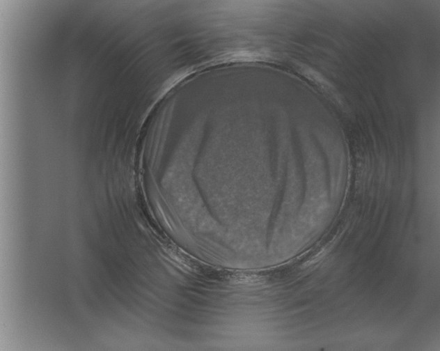 X0000067461170200604281820