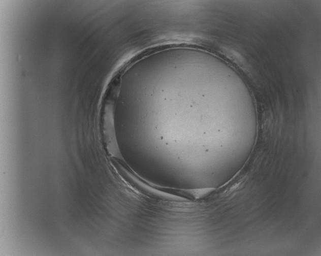 X0000067461172200604281820