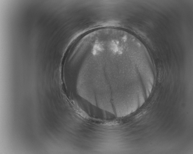 X0000067461174200604281820